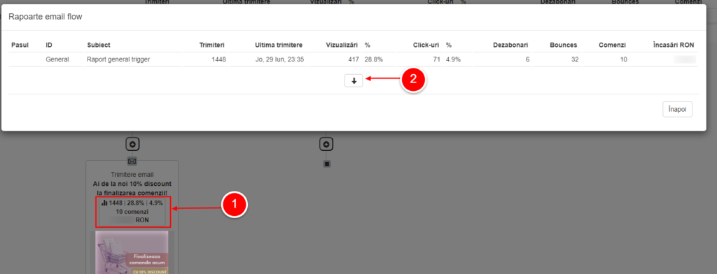 raport-email-flow-incasari