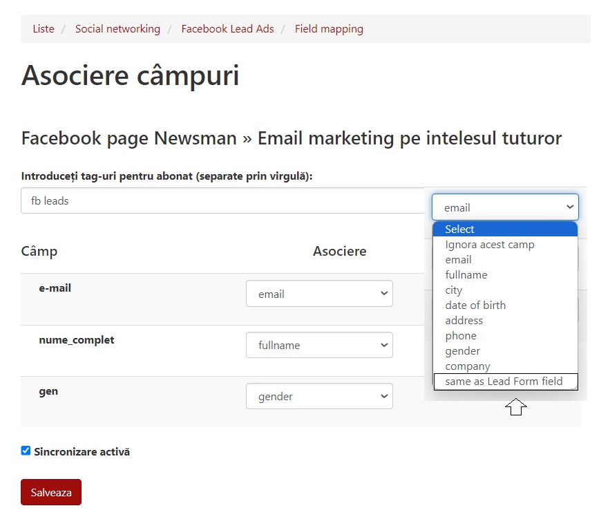 asociere campuri formular facebook newsman integrare