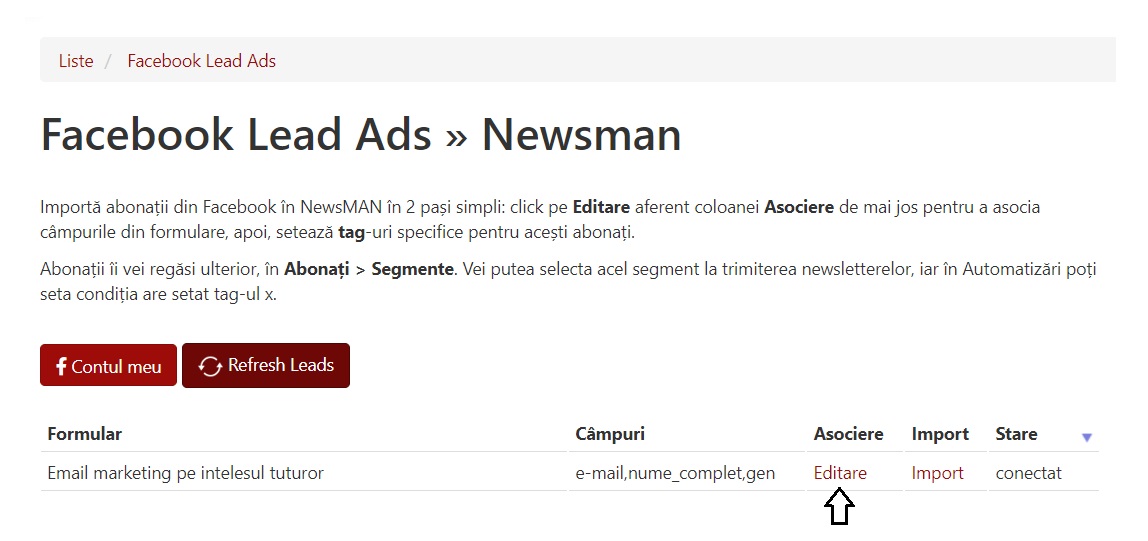 mapare campurile formular facebook leads newsman